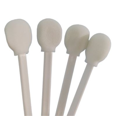 Round Sponge Head Sterile Esd Cleanroom Cleaning Swabs Solvent Foam Tipped Swab