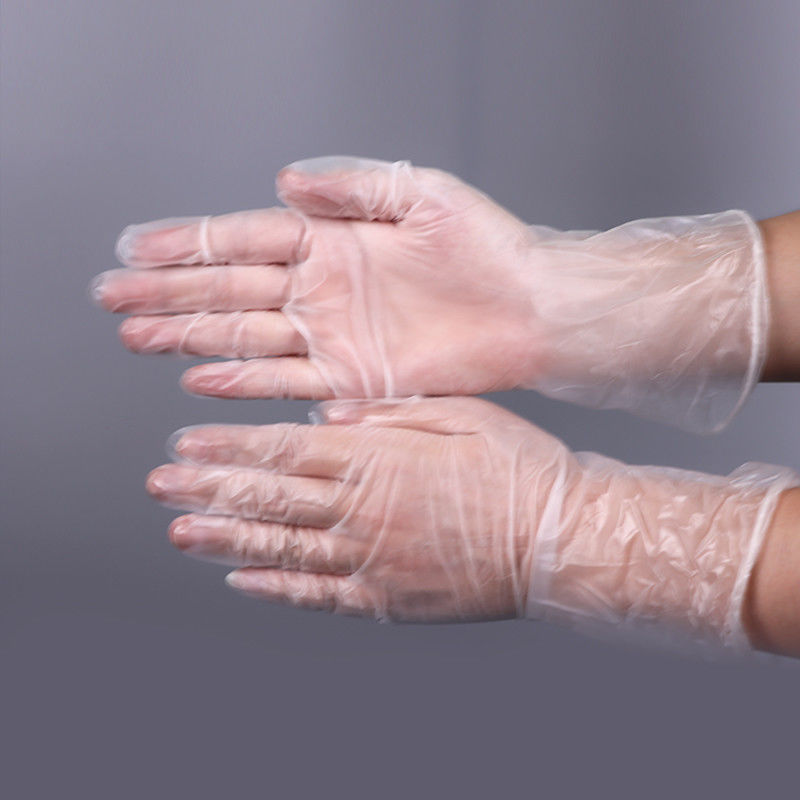 Powder Free Disposable Vinyl / PVC Gloves in Bulk